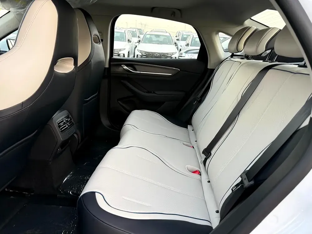 2025 BYD DESTROYER 05 SUNROOF PLUG IN HYBRID 
DM-i 55KM - Image 11