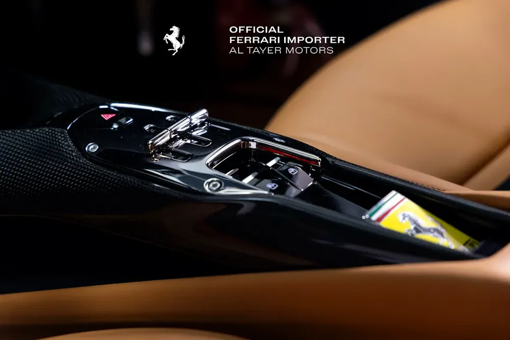 296 GTB - Image 14