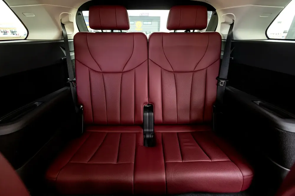 Hongqi E-HS9 Executive 2021 Chinese Specs | Warranty | Flexible D.P. - Image 19
