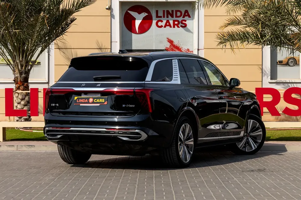 Hongqi E-HS9 Executive 2021 Chinese Specs | Warranty | Flexible D.P. - Image 7
