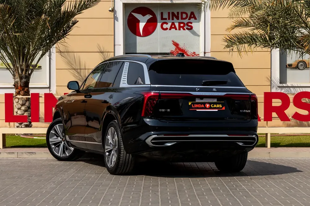 Hongqi E-HS9 Executive 2021 Chinese Specs | Warranty | Flexible D.P. - Image 8