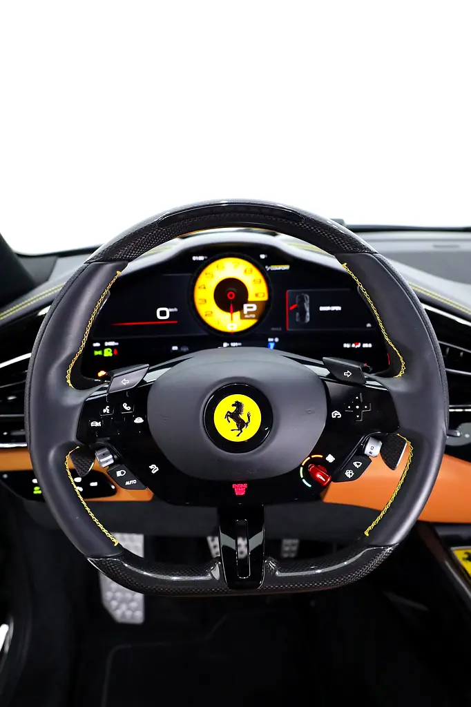 FERRARI PUROSANGUE - CARBON PACKAGE IN SPECIAL GRIGIO GRAY - Image 9