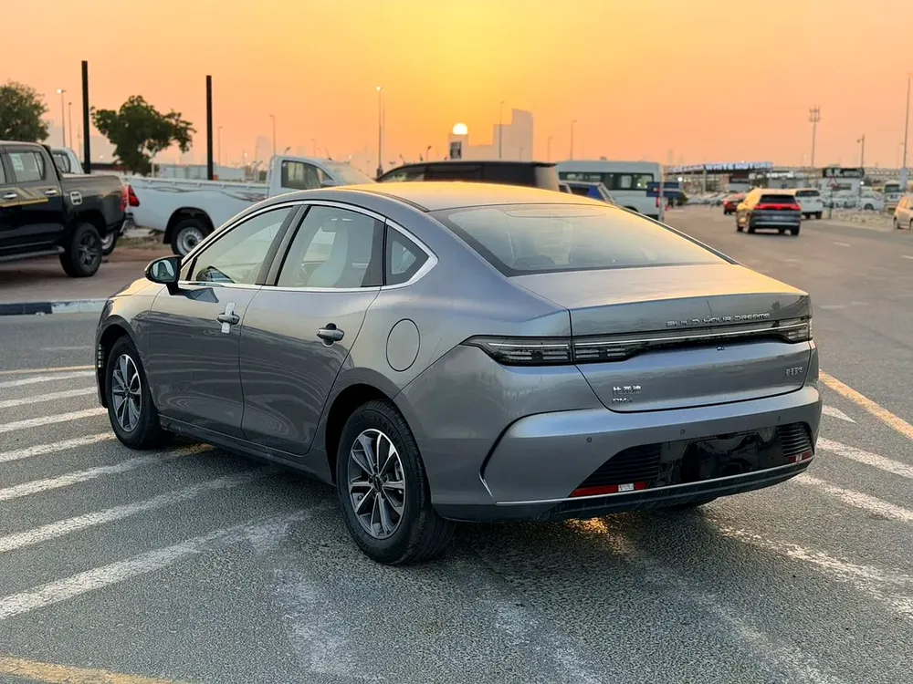 2026 BYD Destroyer 05 Luxury 55km - Image 6