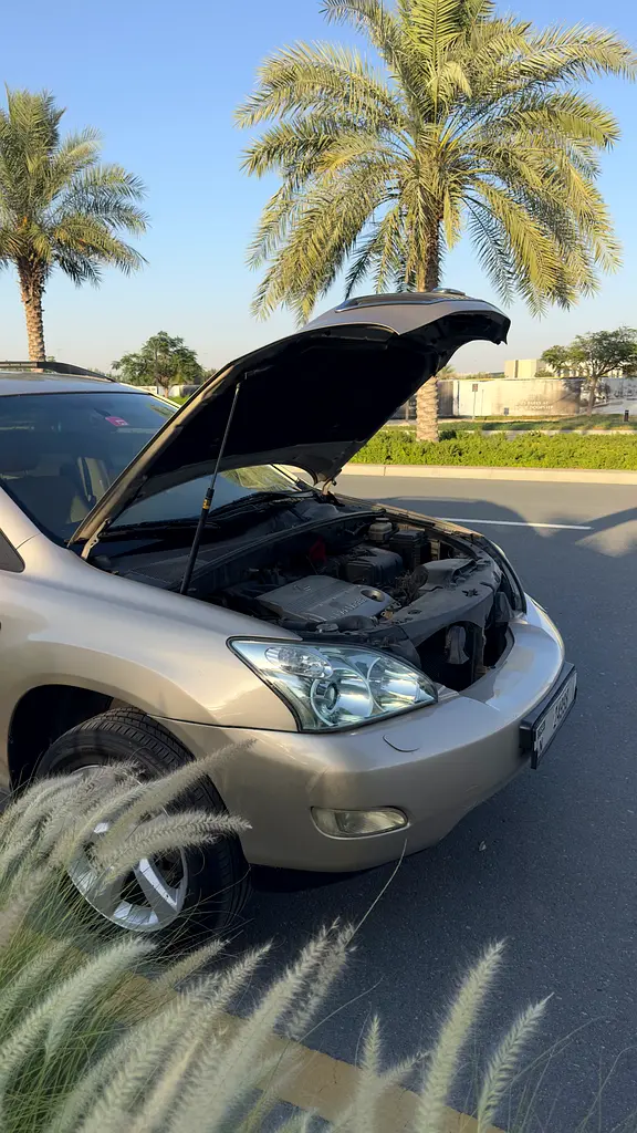 Lexus RX 330 - Image 11