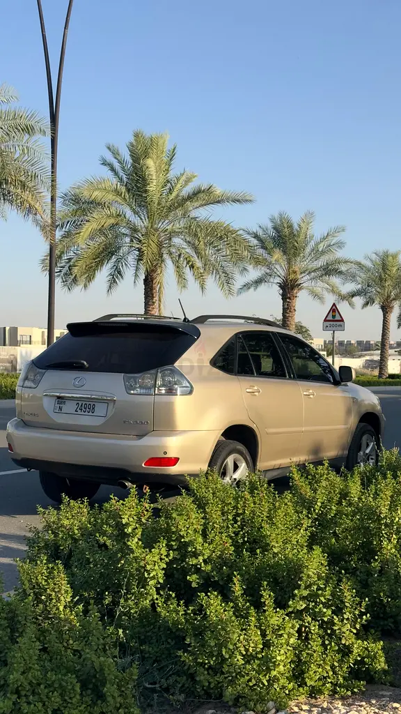 Lexus RX 330 - Image 5