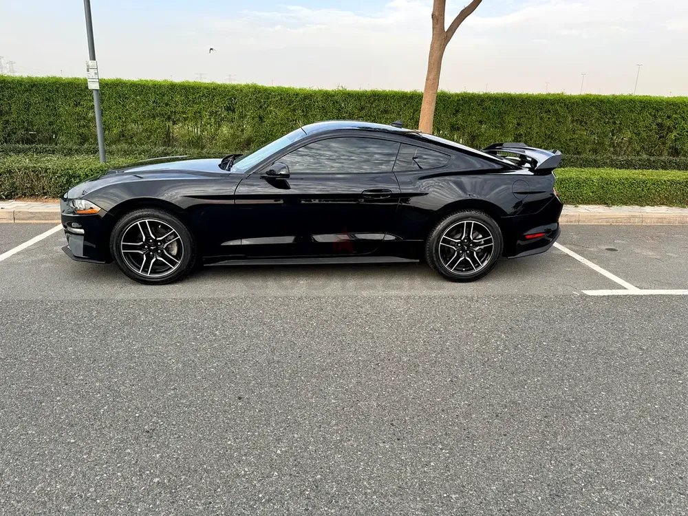 2022 Ford Mustang Ecoboost | Low Mileage | American Specs - Image 5