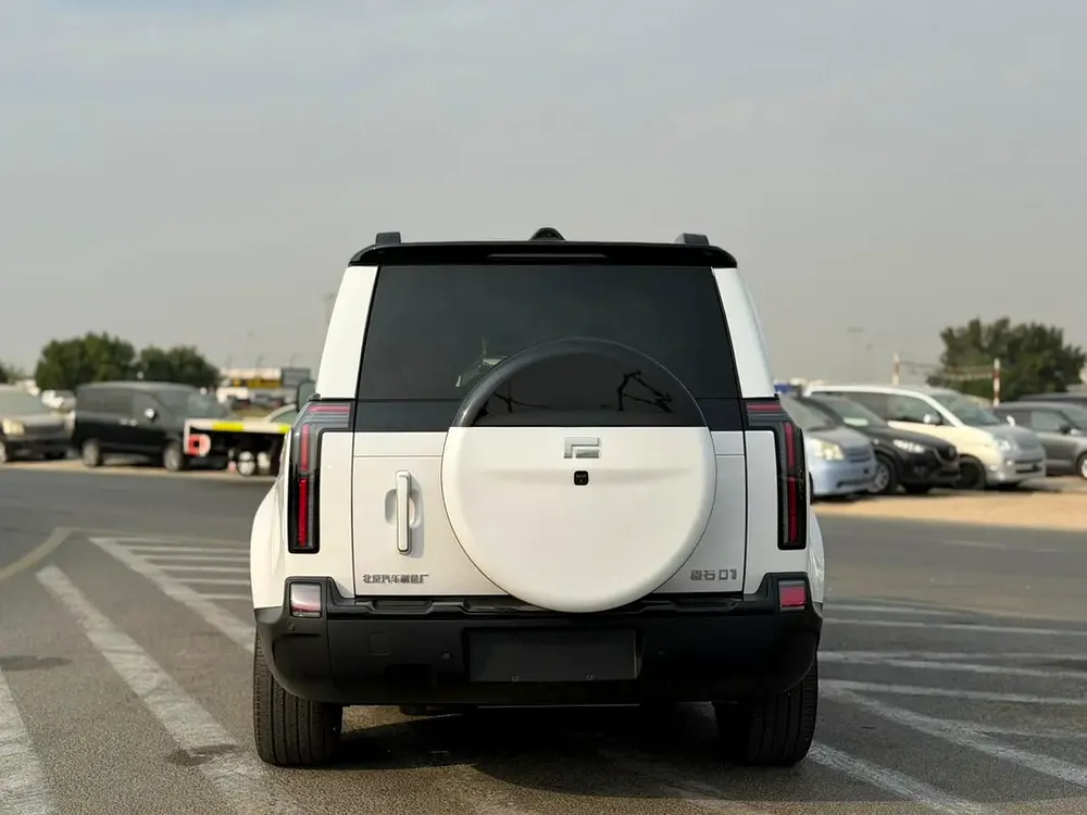 Rox 01 VIP 6 SEATS  2026 | Brand New | Luxury Hybrid SUV - Image 7