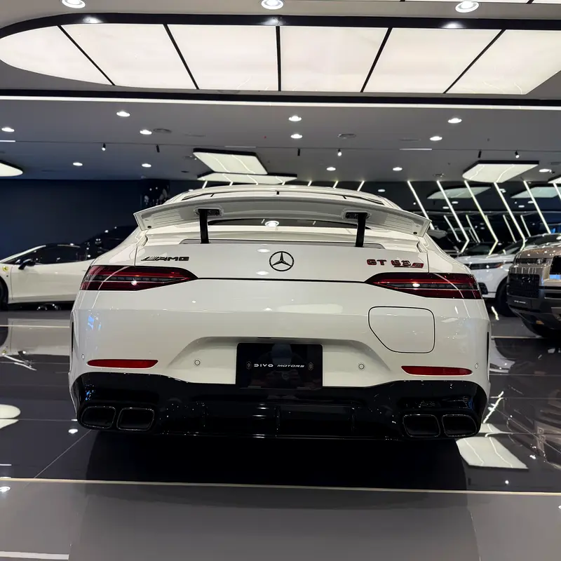 AMG GT S E PERFORMANCE - Image 20