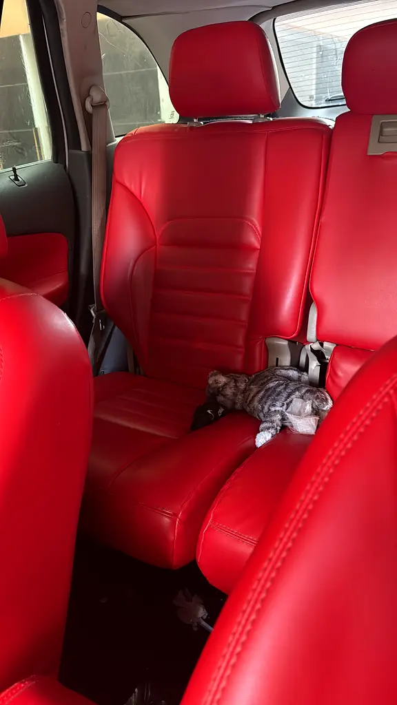 Ford Edge SE 2011 | Canadian Specs | Well Maintained - Image 8