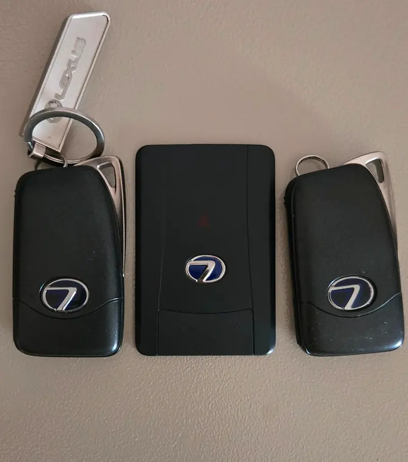 Lexus RX 450h – 2020 Hybrid - Image 11