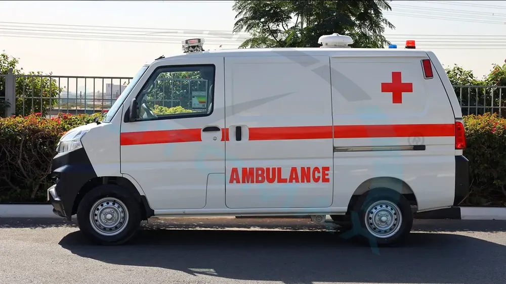 2025 CMC Veryca Panel Van ( AMBULANCE ) 1.5L RWD GCC 0Km With 3 Years Or 100,000 Km Warranty - Image 19
