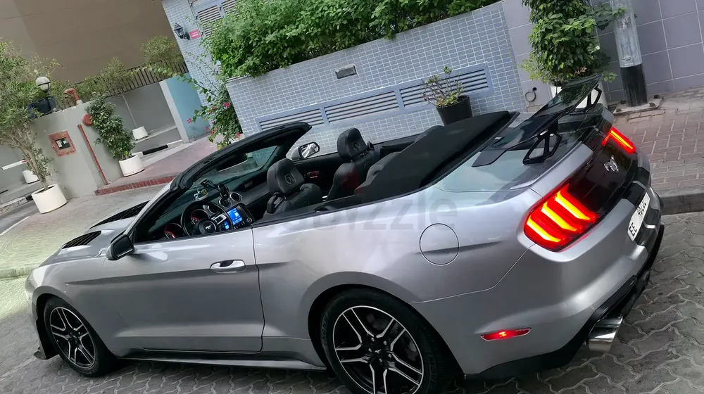 Ford Mustang EcoBoost Convertible 2023 Silver Premium Edition - Image 12