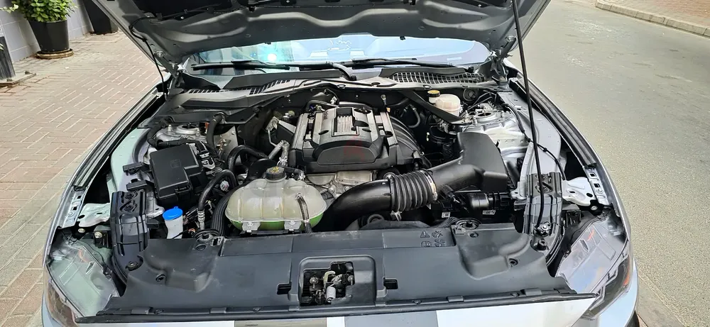 Ford Mustang EcoBoost Convertible 2023 Silver Premium Edition - Image 6