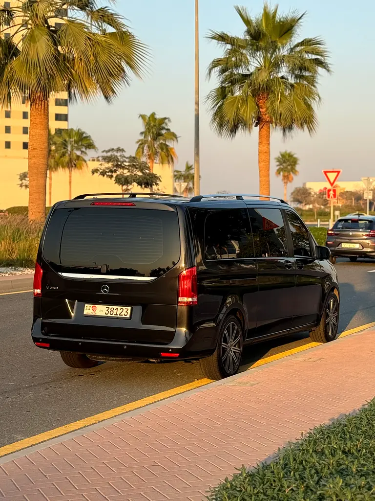 Gcc Clean Mercedes V 250 Free Accident - Image 4