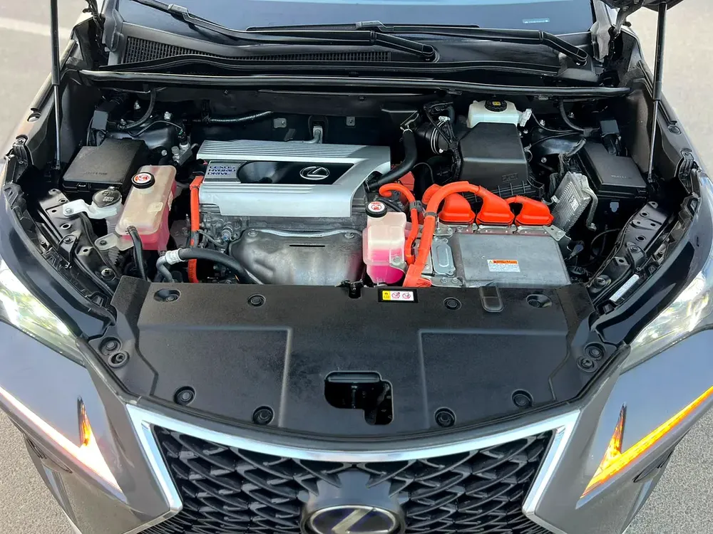 2019 Lexus NX 300h Hybrid  Full Option - 2.5L V4 - Rear Camera & Sensor - Sunroof - Leather Seat - Image 19