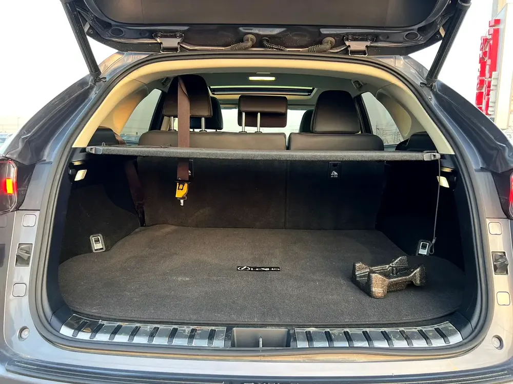 2019 Lexus NX 300h Hybrid  Full Option - 2.5L V4 - Rear Camera & Sensor - Sunroof - Leather Seat - Image 20