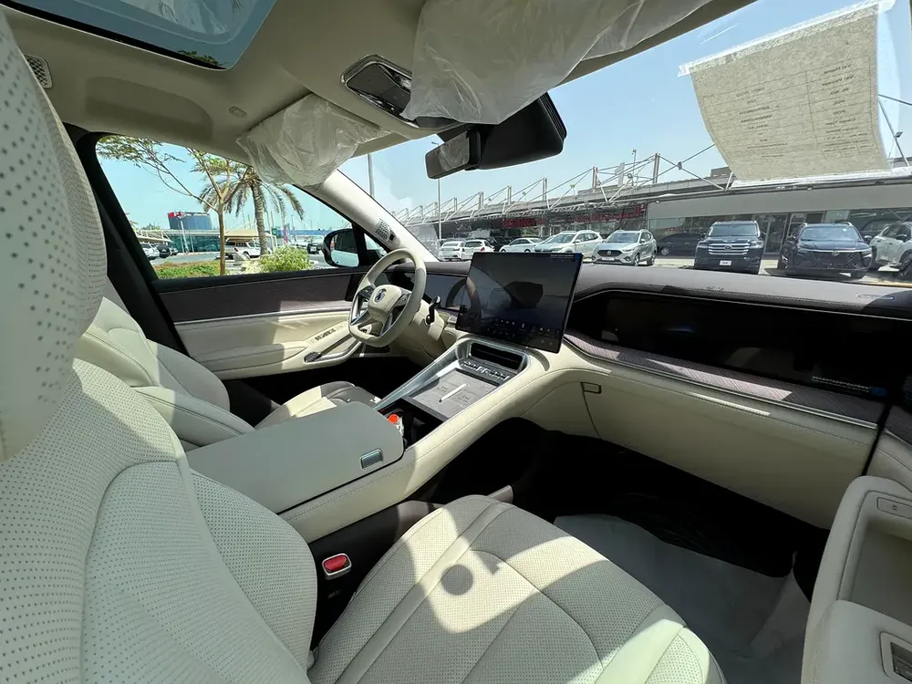 2025 Denza N9 Flagship - Brand New - Chinese Specs - Image 11