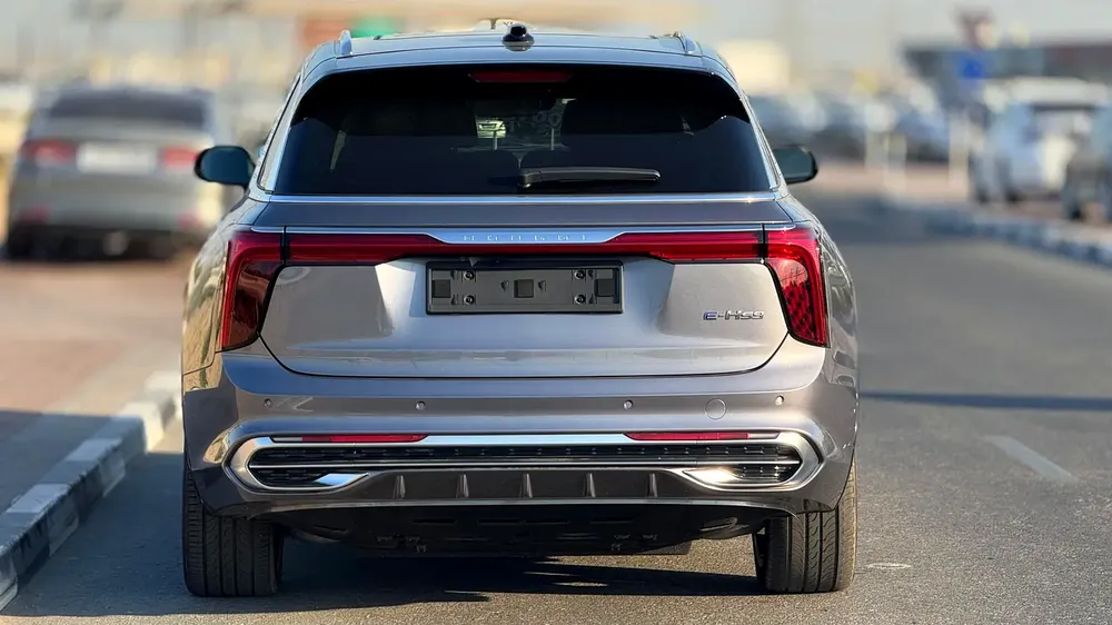 Hongqi E-Hs9 Flagship 6 VIP Seats Brand New 2023 model - Image 8