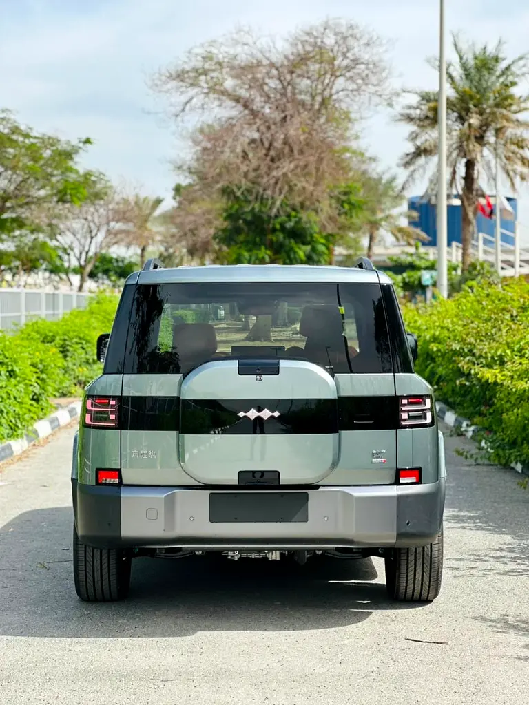 2025 BYD Leopard 7 Warranty and service - Image 4