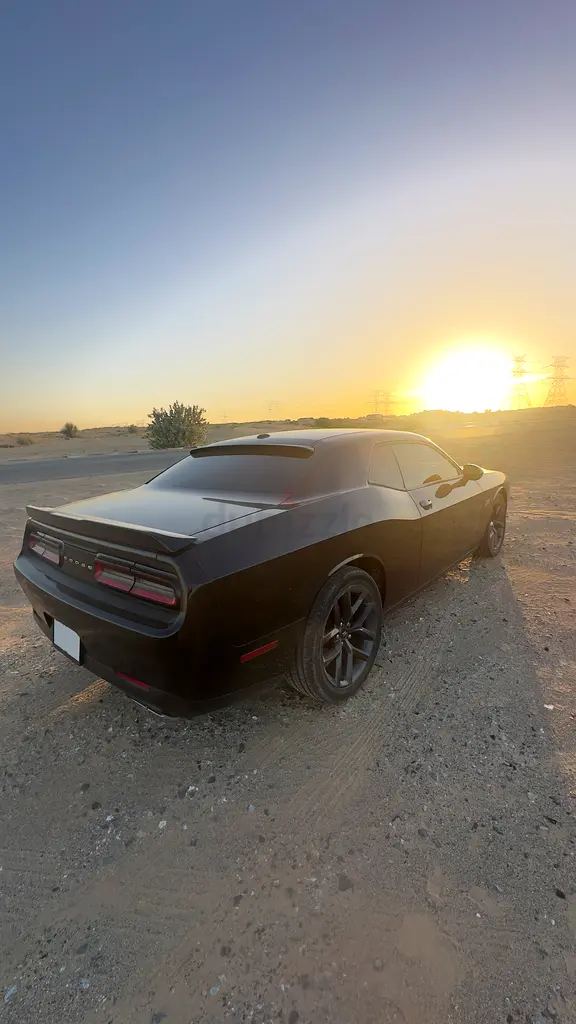 Dodge Challenger R/T 2019 American Specs - Immaculate Condition - Image 12