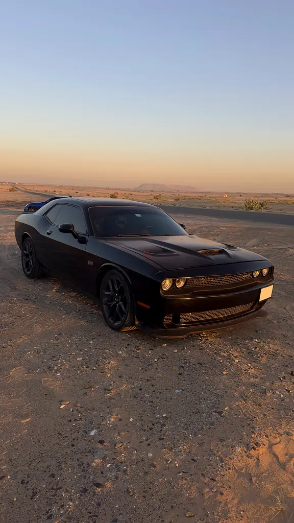 Dodge Challenger R/T 2019 American Specs - Immaculate Condition - Image 16