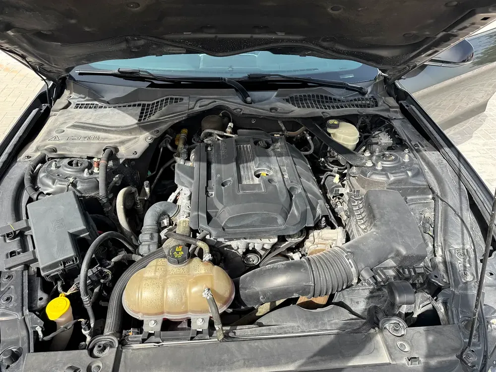 Ford Mustang 2016 EcoBoost Premium | Manual | GCC | LOW KM | Accident-Free - Image 10