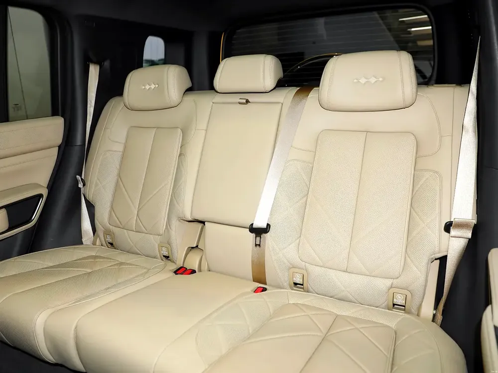 Leopard 5 navigator double differential locks - Image 11
