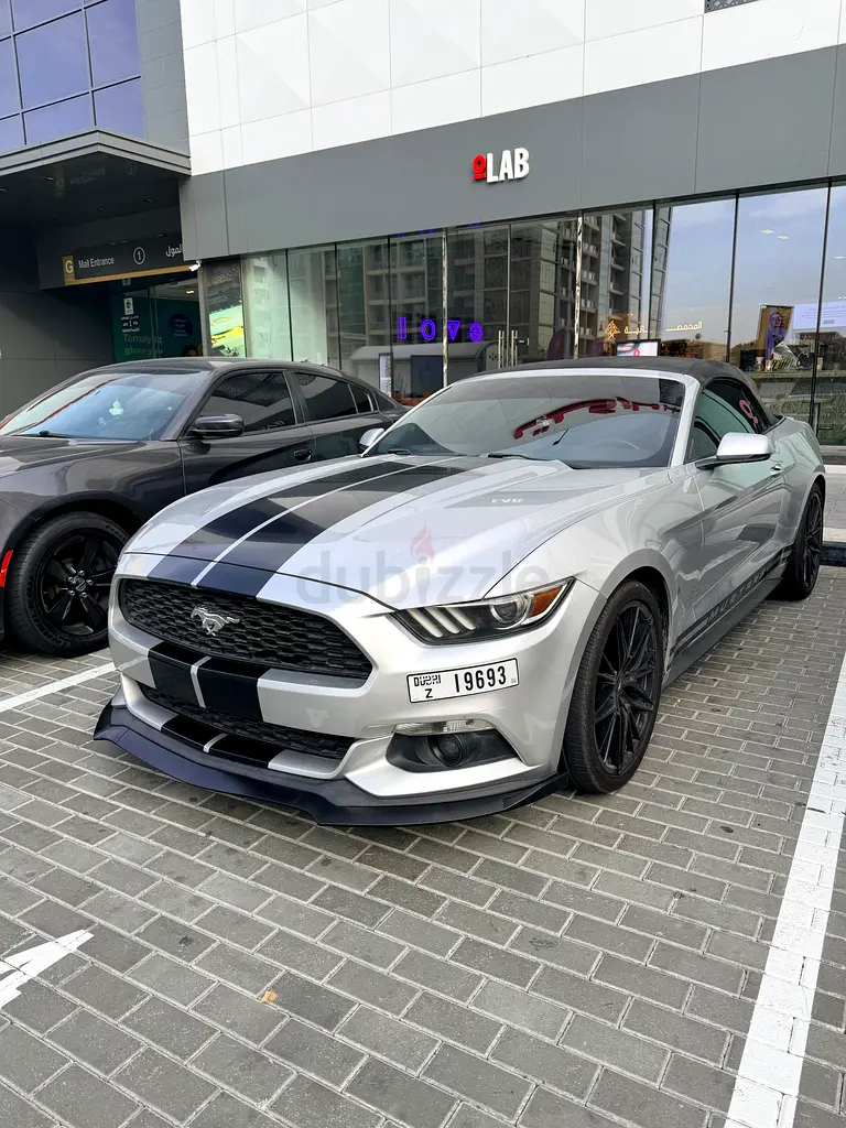 2017 Ford Mustang Ecoboost - American Specs - Pristine Condition - Image 5