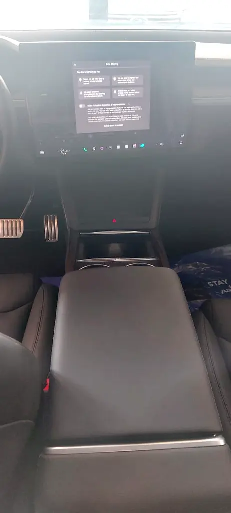 Tesla Model X, 2024MY - Image 8