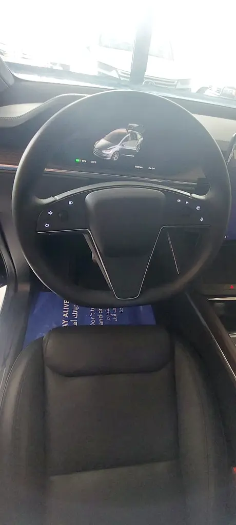 Tesla Model X, 2024MY - Image 9