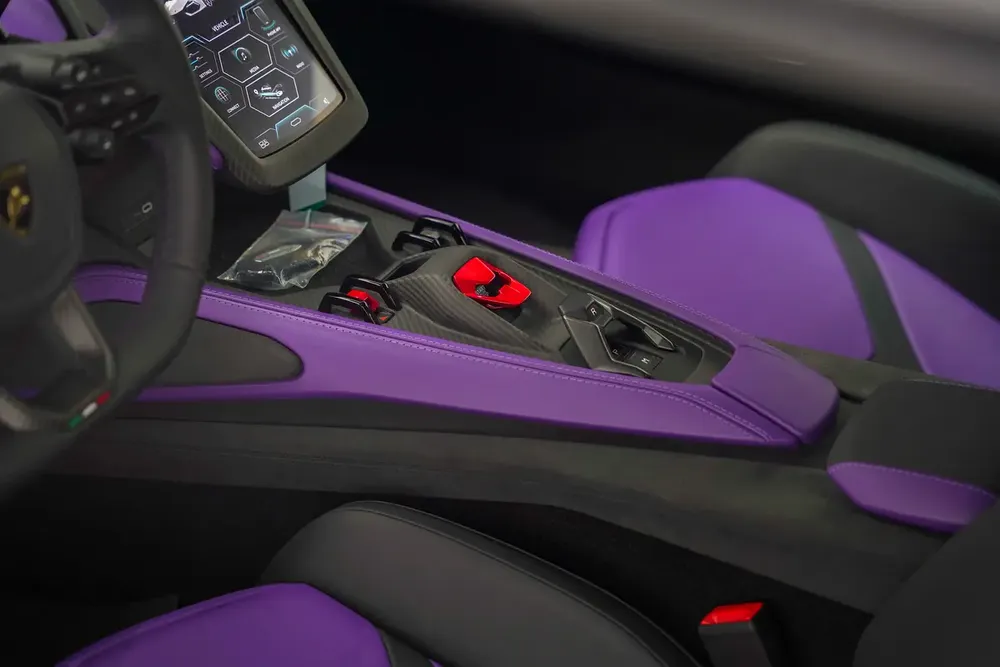 2025 LAMBORGHINI REVUELTO - Image 10