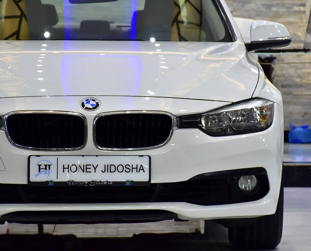 SERVICE HISTORY STICKER & DATA AVAILABLE! BMW 318i ( 2016 Model ) in White Color GCC Specs - Image 4