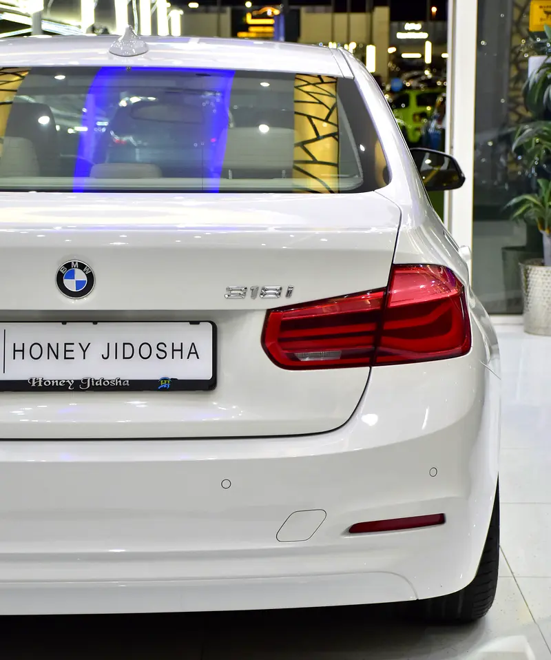 SERVICE HISTORY STICKER & DATA AVAILABLE! BMW 318i ( 2016 Model ) in White Color GCC Specs - Image 9