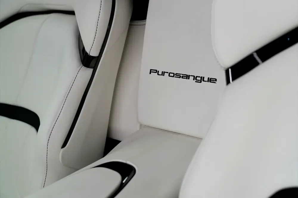 FERRARI | PUROSANGUE | 2025MY | GCC SPECS MAIN DEALER WARRANTY + SERVICE CONTRACT - Image 15