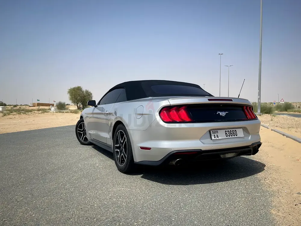 2019 Ford Mustang Ecoboost Premium | convertible in  perfect Condition - Image 13