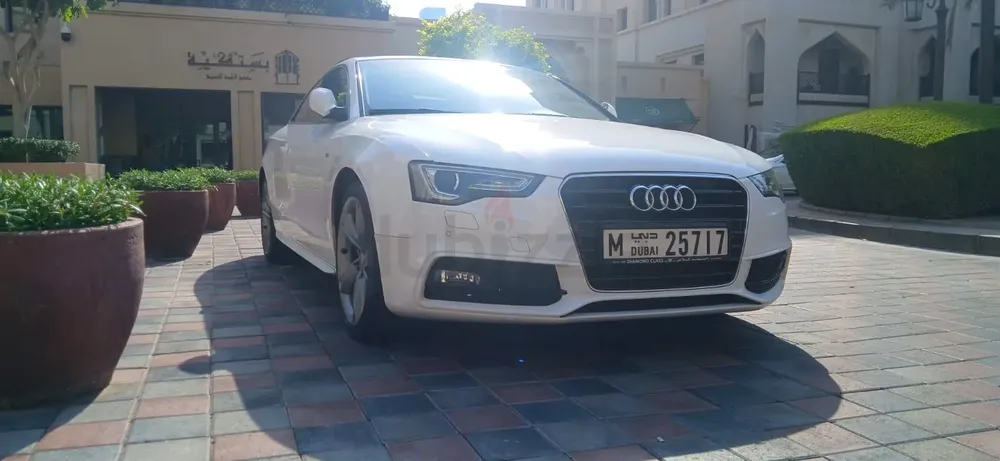 Lady owner GCC A5 - Image 10