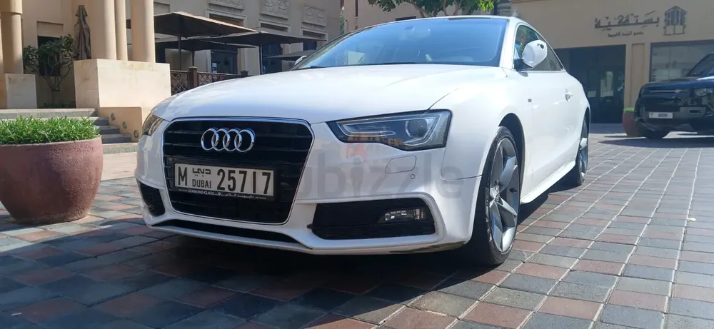 Lady owner GCC A5 - Image 12
