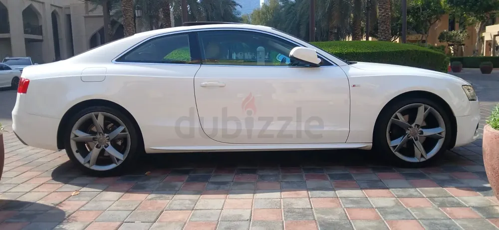 Lady owner GCC A5 - Image 13