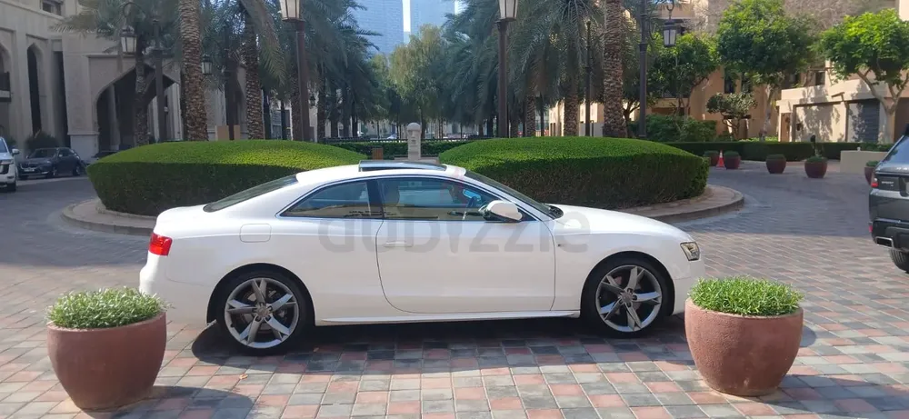 Lady owner GCC A5 - Image 14