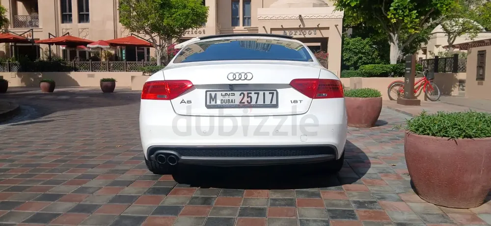 Lady owner GCC A5 - Image 7