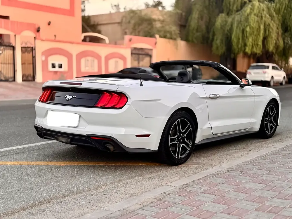 Mustang Ecoboost premium convertible - Image 4