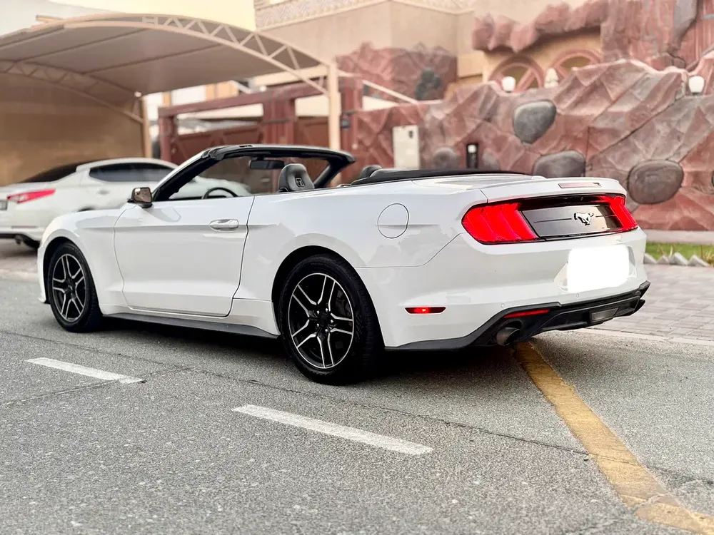 Mustang Ecoboost premium convertible - Image 6