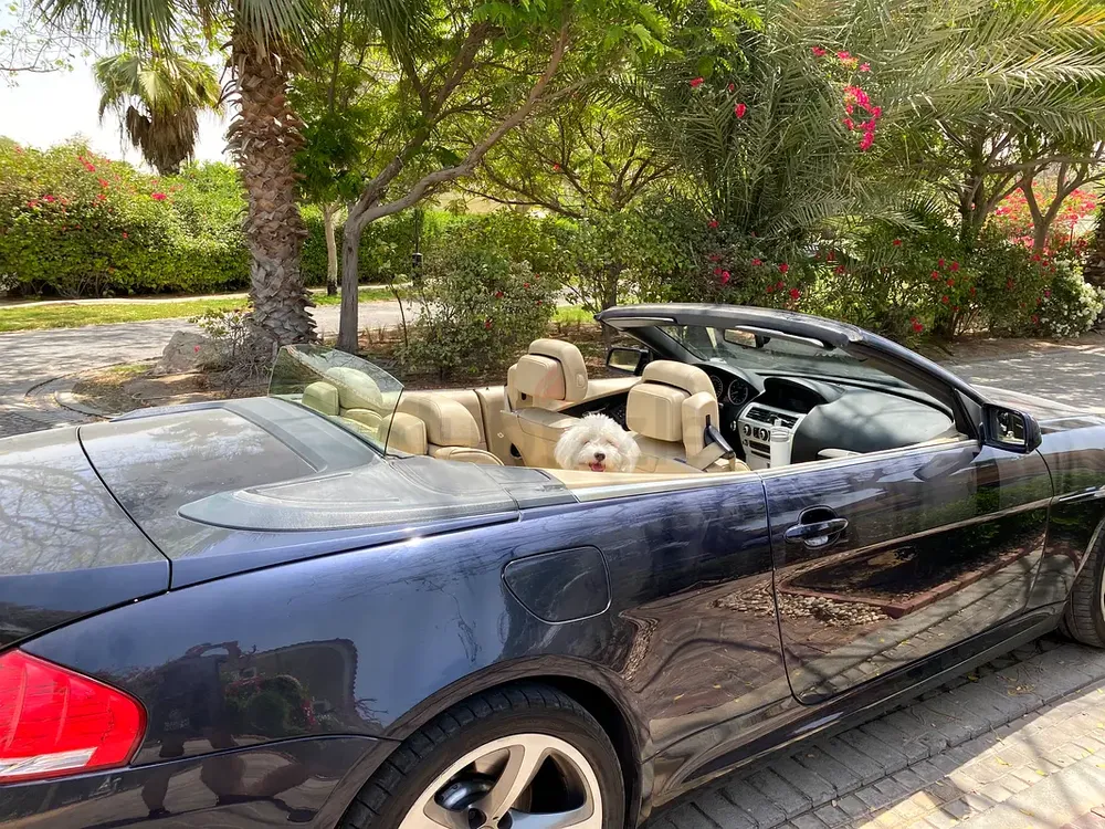 BMW 6-Series 650i 2009 GCC Specs - Image 5