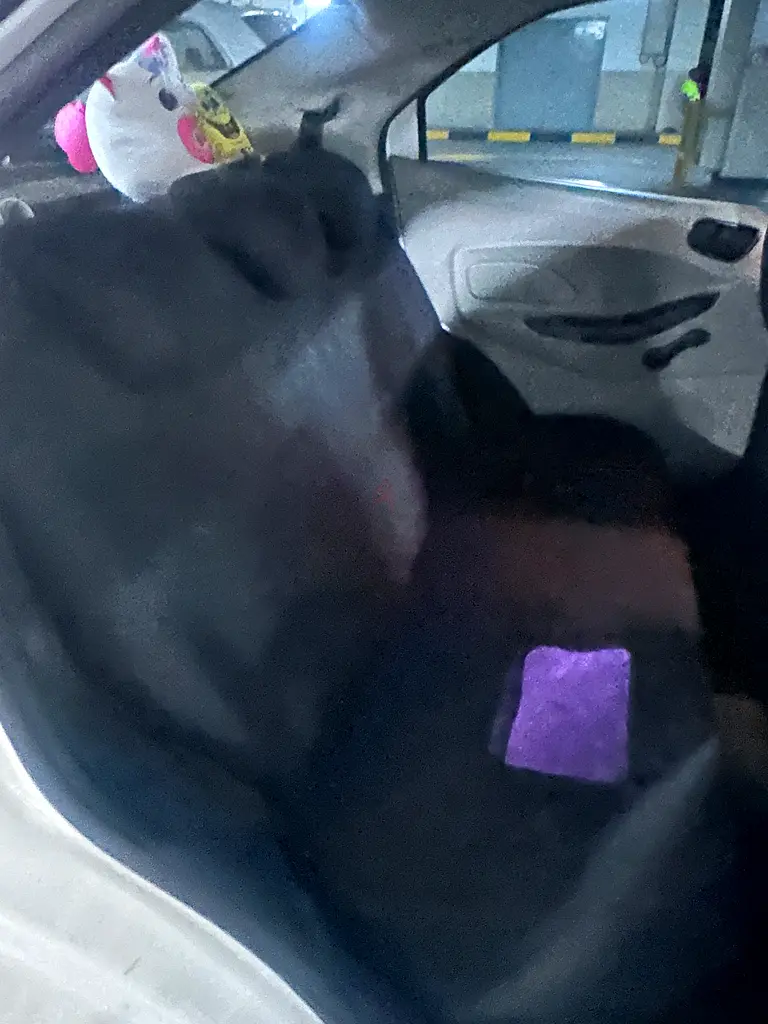 Ford Figo 2018 model sale or exchange - Image 10