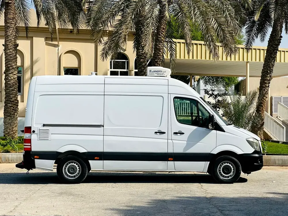 Mercedes Benz Sprinter 2016 Caravan Pet Grooming - Image 6