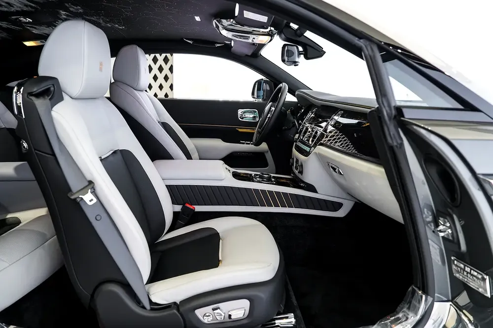 EAGLE EDITION | 2 YEARS WARRANTY + SERVICE | 4 BUTTONS | STARLIGHT | BESPOKE AUDIO - Image 11