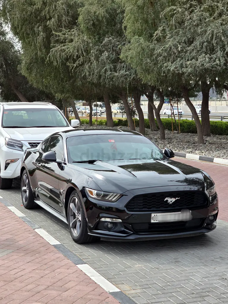 2015 Ford Mustang V6 | Well Maintained | Roush Exhaust - Image 13