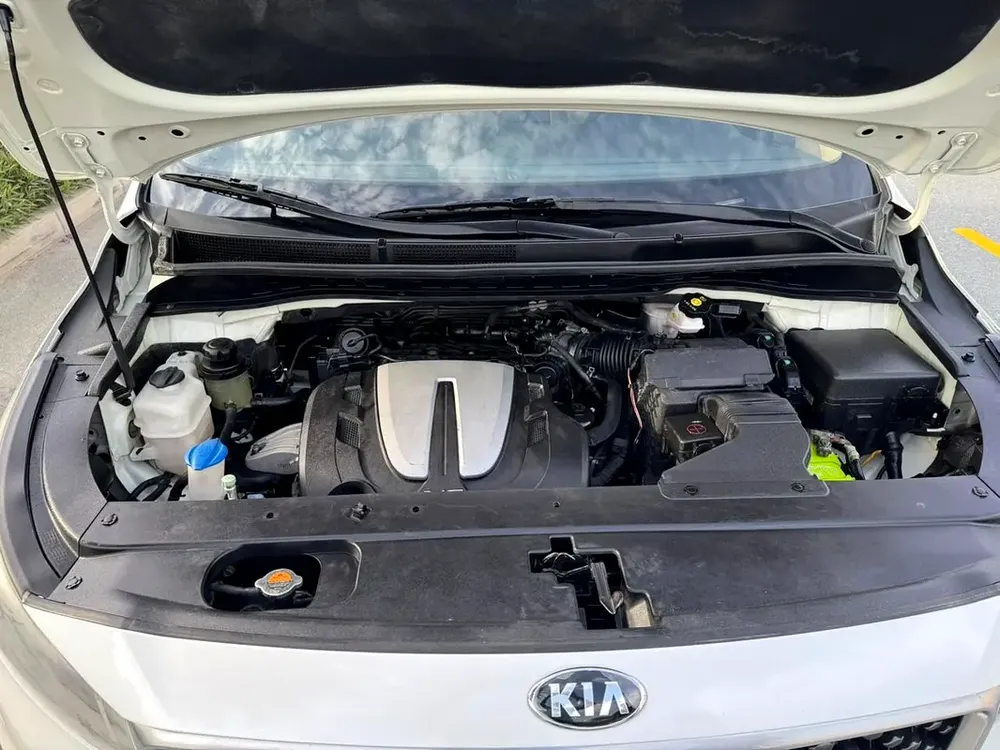 2018 Kia Carnival LX - GCC Specs full option perfect condition car - Image 11