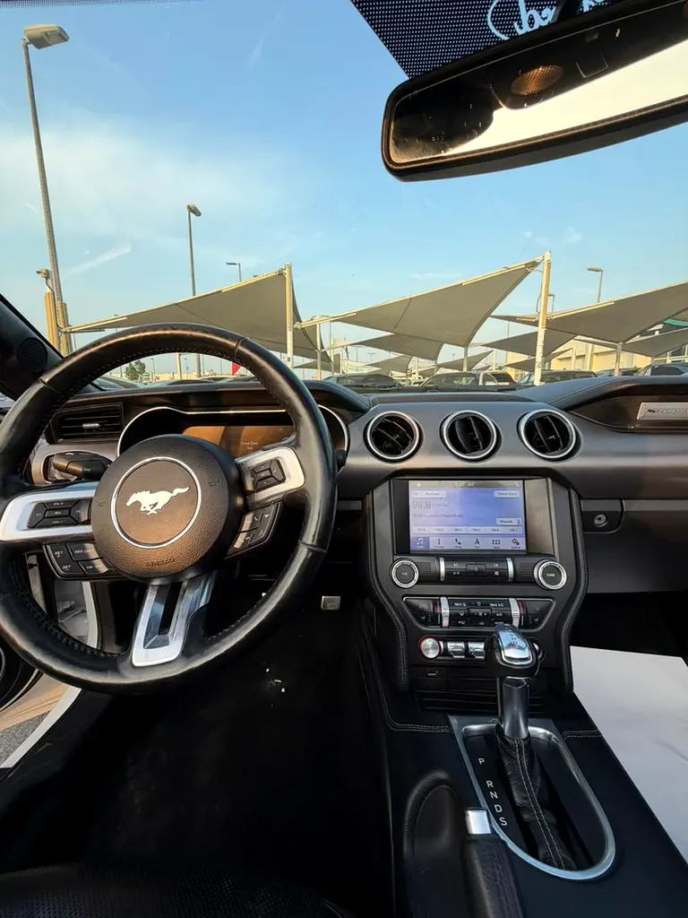 5.0L FORD MUSTANG GT (2019) CONVERTIBLE - Image 10