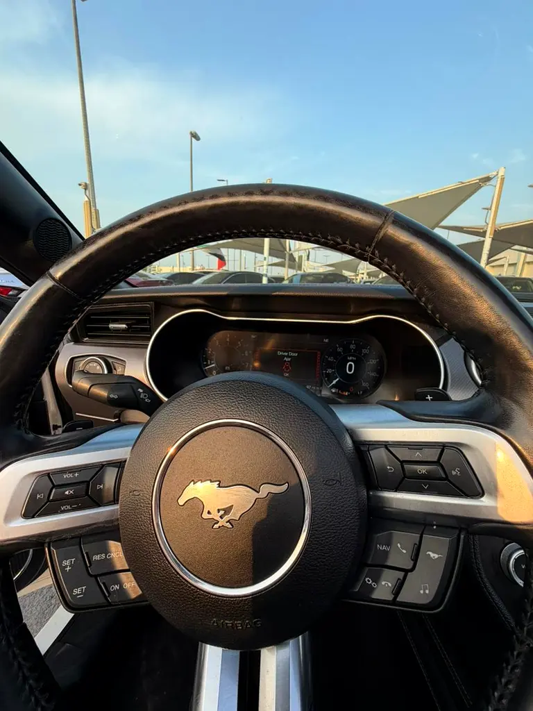 5.0L FORD MUSTANG GT (2019) CONVERTIBLE - Image 11